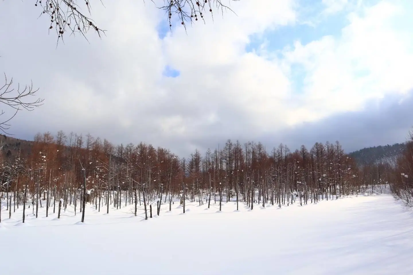 Blue Pond in Winter