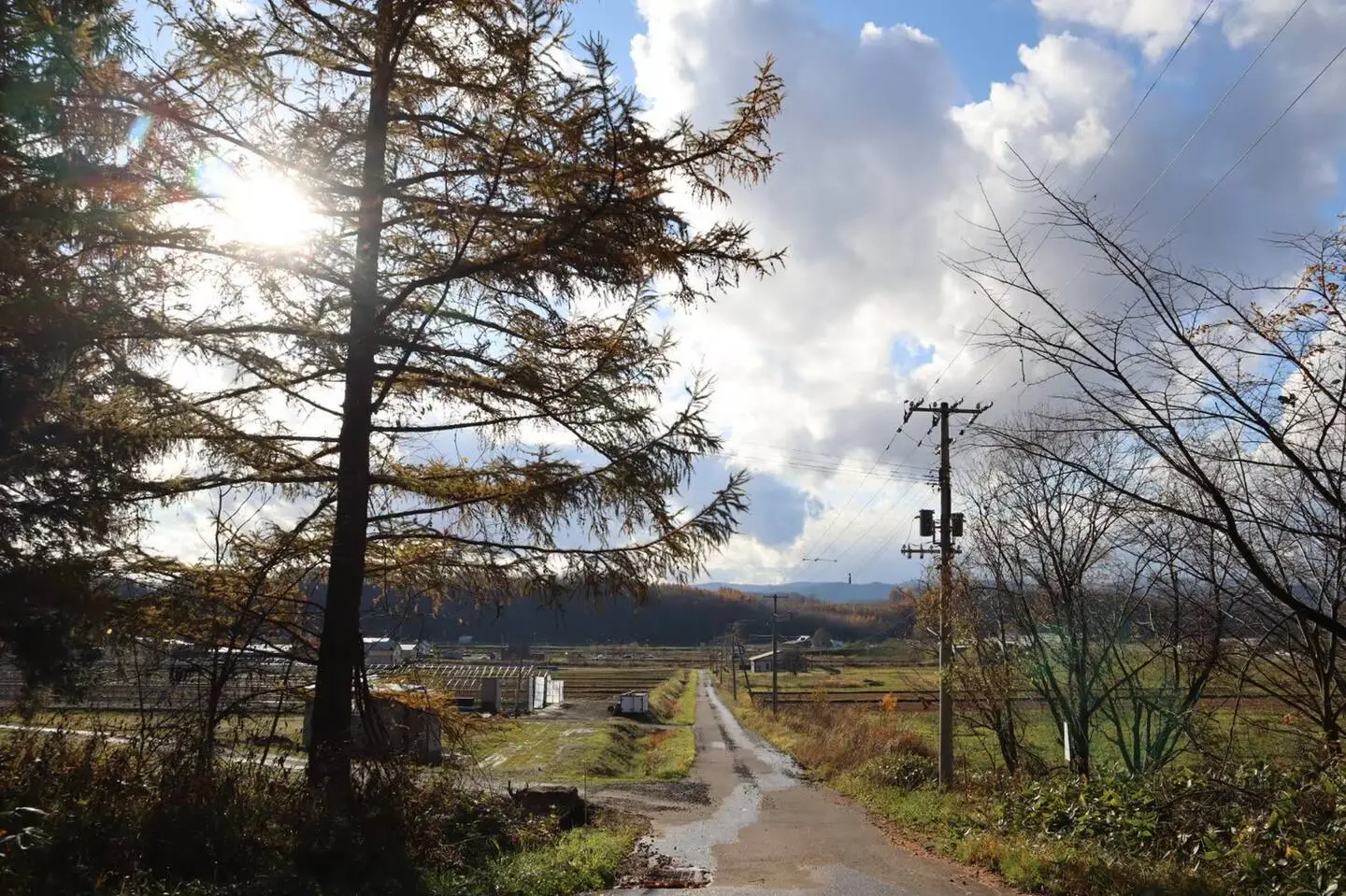 Rural Autumn
