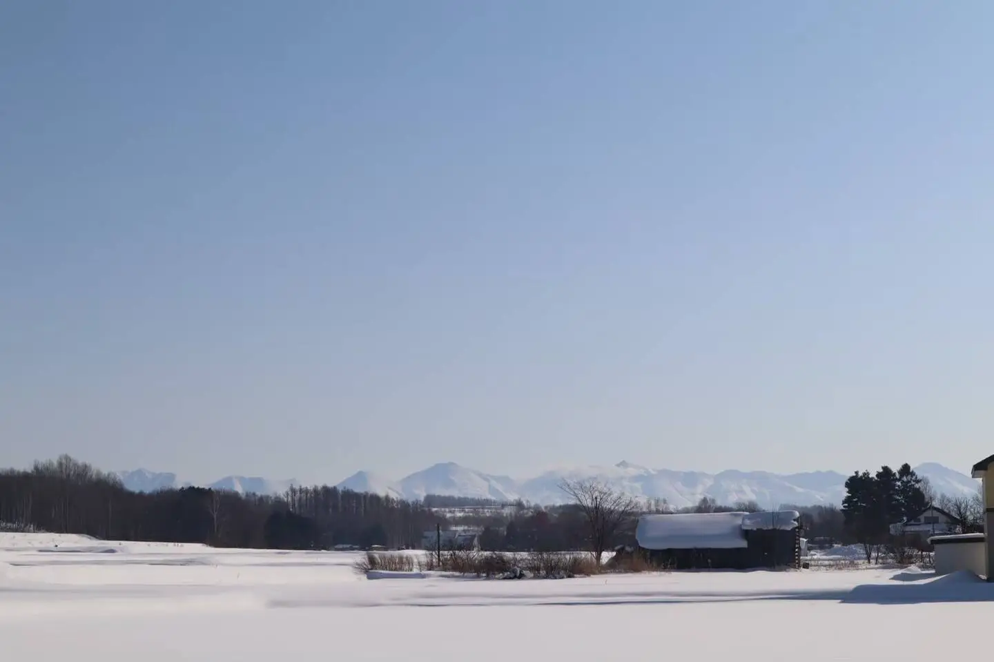 Winter Panorama