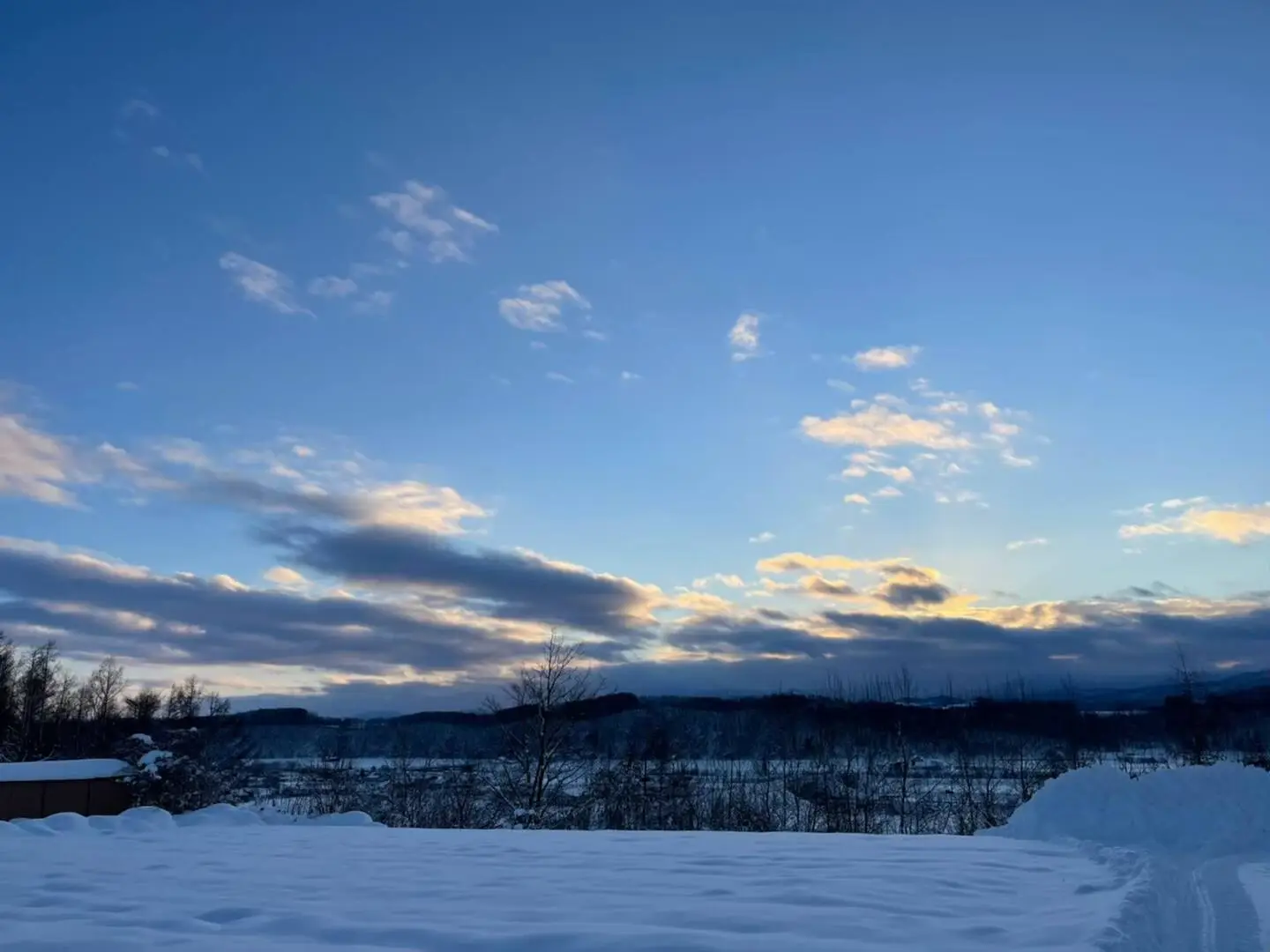 Winter Vista